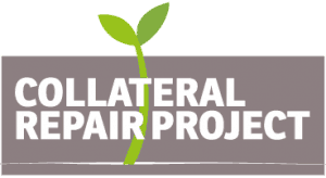 Collateral Repair project logo Final3 300x164