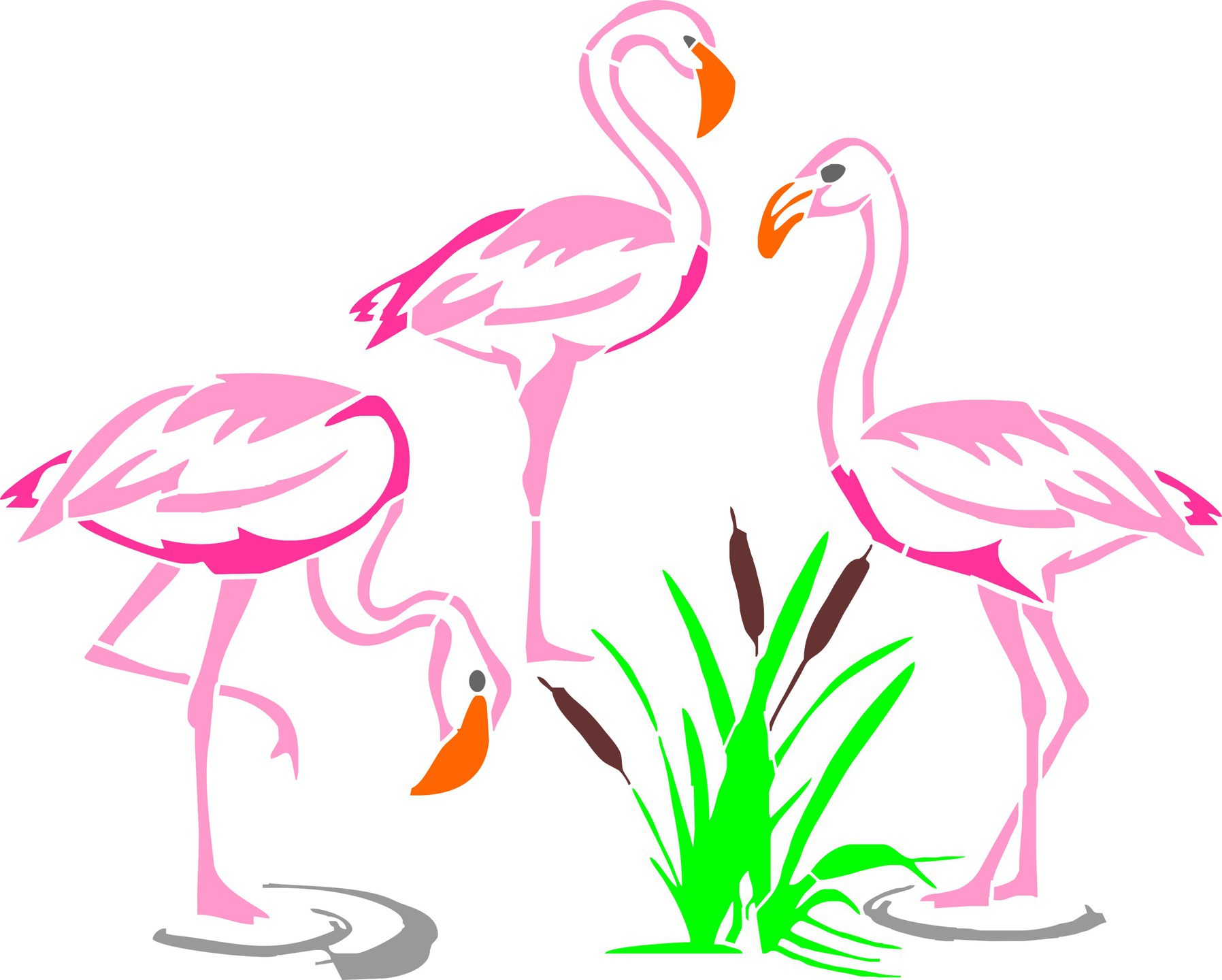 groupe flamants rose 1